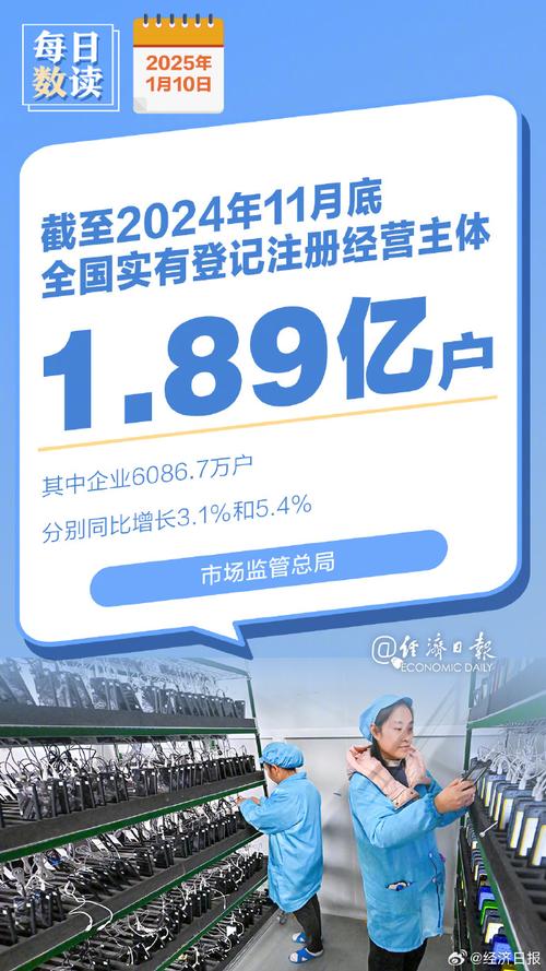 市场监管总局副局长介绍,截至2024年11月底,我国实有登记注册经营主体